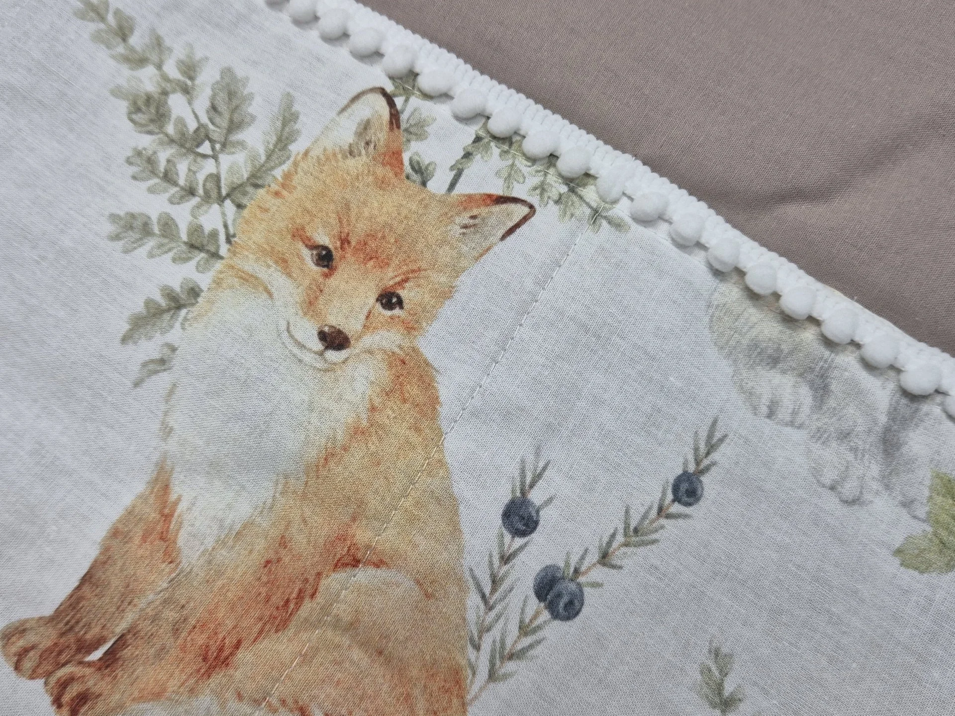 %D0%9E%D1%80%D0%B3%D0%B0%D0%BD%D0%B0%D0%B9%D0%B7%D0%B5%D1%80+%D0%B7%D0%B0+%D0%BA%D0%BE%D1%88%D0%B0%D1%80%D0%B0+%D0%9B%D0%B8%D1%81%D0%B0%2C+%D0%BC%D0%BE%D0%BA%D0%B0