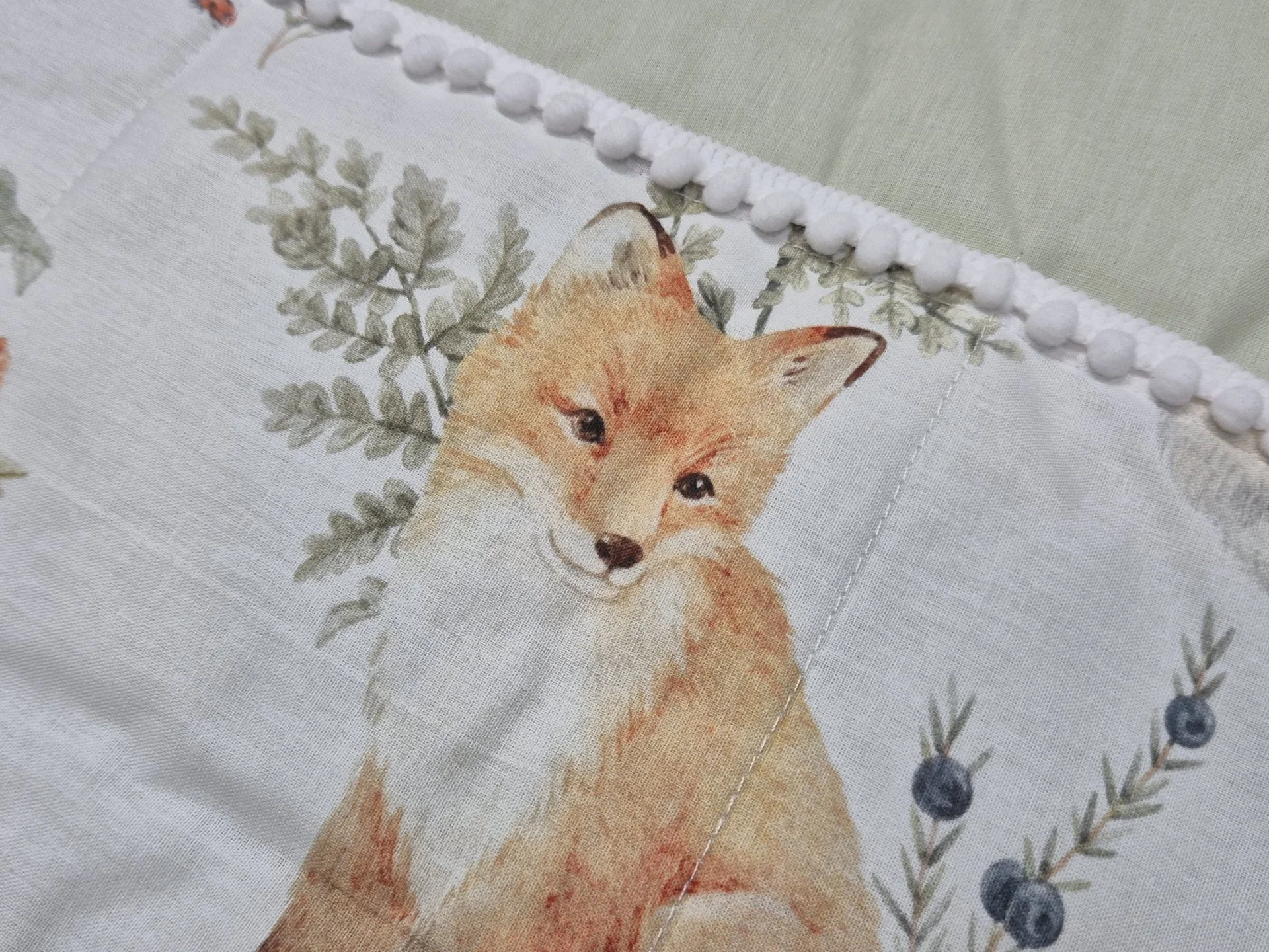 %D0%9E%D1%80%D0%B3%D0%B0%D0%BD%D0%B0%D0%B9%D0%B7%D0%B5%D1%80+%D0%B7%D0%B0+%D0%BA%D0%BE%D1%88%D0%B0%D1%80%D0%B0+%D0%9B%D0%B8%D1%81%D0%B0%2C+%D0%B7%D0%B5%D0%BB%D0%B5%D0%BD%D0%BE